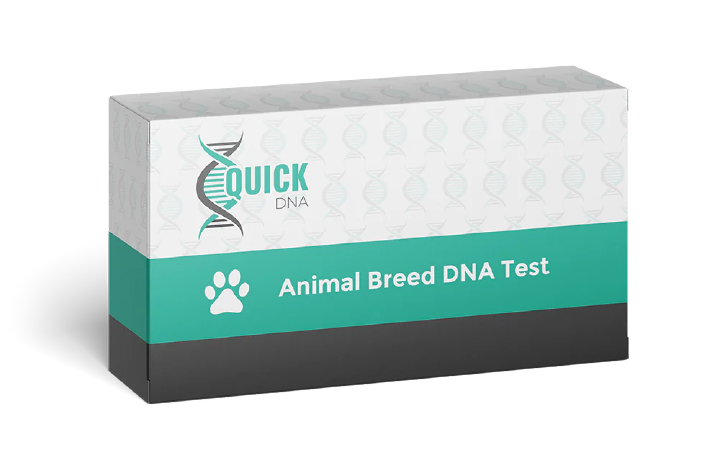 Test del DNA della razza animale