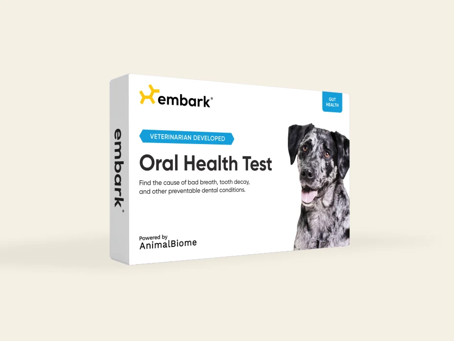 Test di salute orale